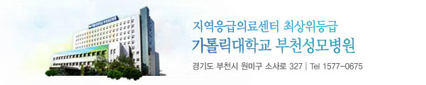 지역응급의료센터 최상위등급 가톨릭대학교 부천성모병원 / 경기도 부천시 원미구 소사로 327 / Tel 1577-0675
