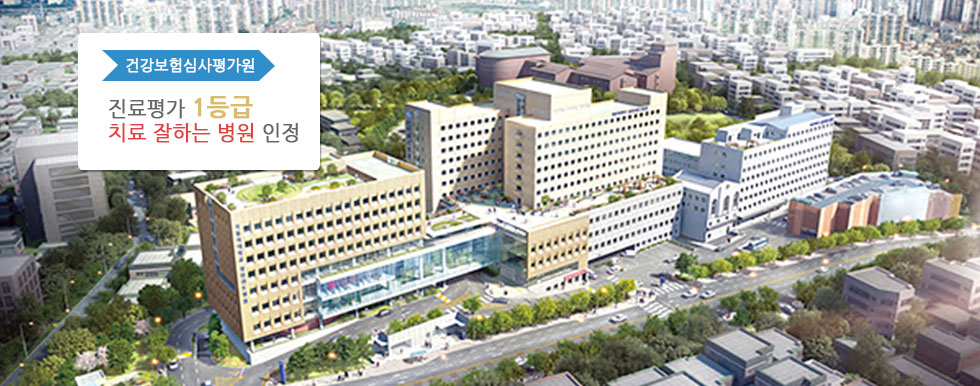 건강보험심사평가원 진료평가 1등급 치료 잘하는 병원 인정